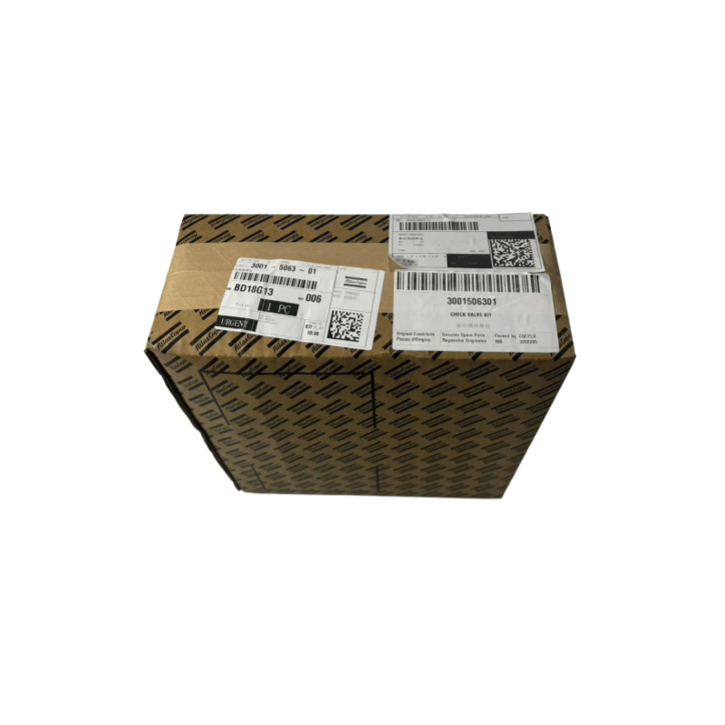 Original 3001506301 Atlas Copco Oil Free Compressors Check Ventil Kit