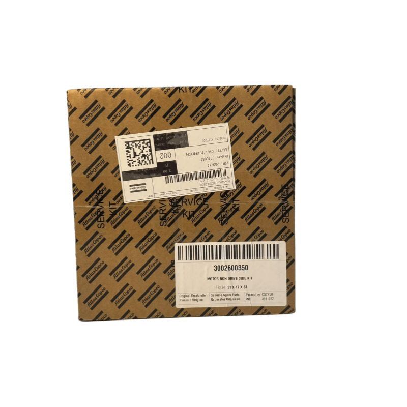 Original 3002600350 Atlas Copco Motor Nichtantriebs -Seiten -Kit für mit Öl injizierte Schraubenkompressoren